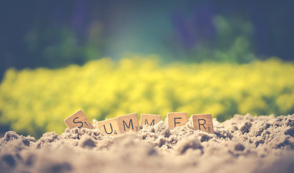 You are currently viewing 50+ End of Summer Quotes to Send Off the Season