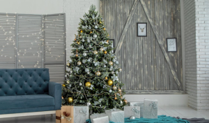Read more about the article 16 Types of Popular Christmas Trees (Including Real and Artificial for Your Home)