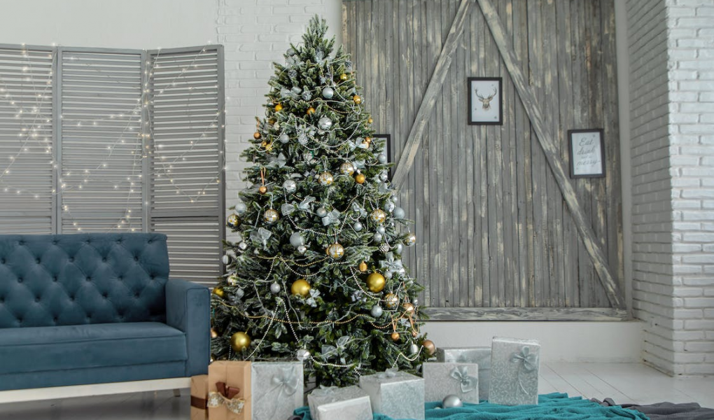 You are currently viewing 16 Types of Popular Christmas Trees (Including Real and Artificial for Your Home)