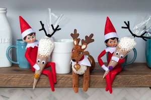 Read more about the article 160 Unique Elf on the Shelf Name Ideas for This Christmas