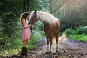 Read more about the article 30+ Most Inspirational Horse Lover Quotes