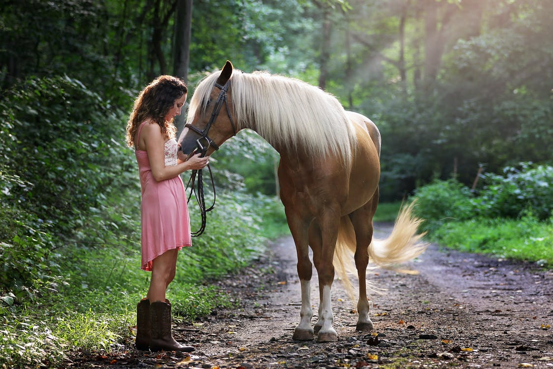 You are currently viewing 30+ Most Inspirational Horse Lover Quotes